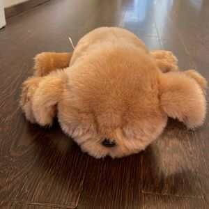 Little live pets sleeping puppy